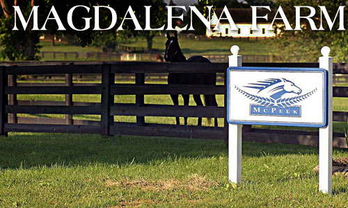 Learn About Magdalena Farm